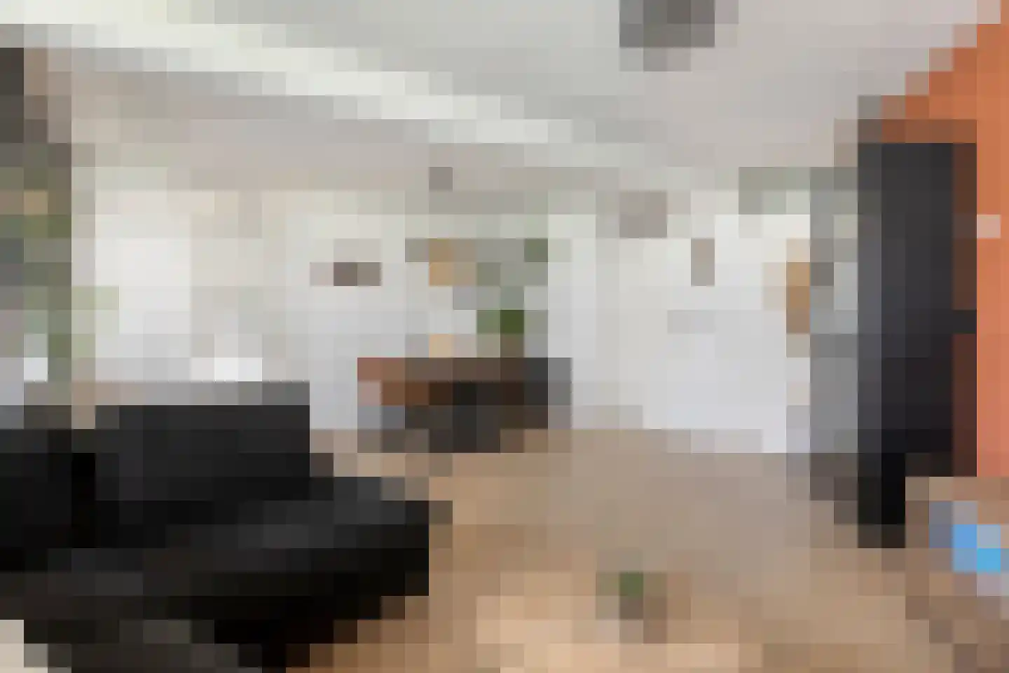 Nieuwe Marktstraat 6 Nijmegen thumbnail 20