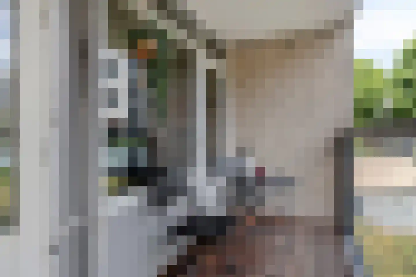 Nieuwe Marktstraat 6 Nijmegen thumbnail 38