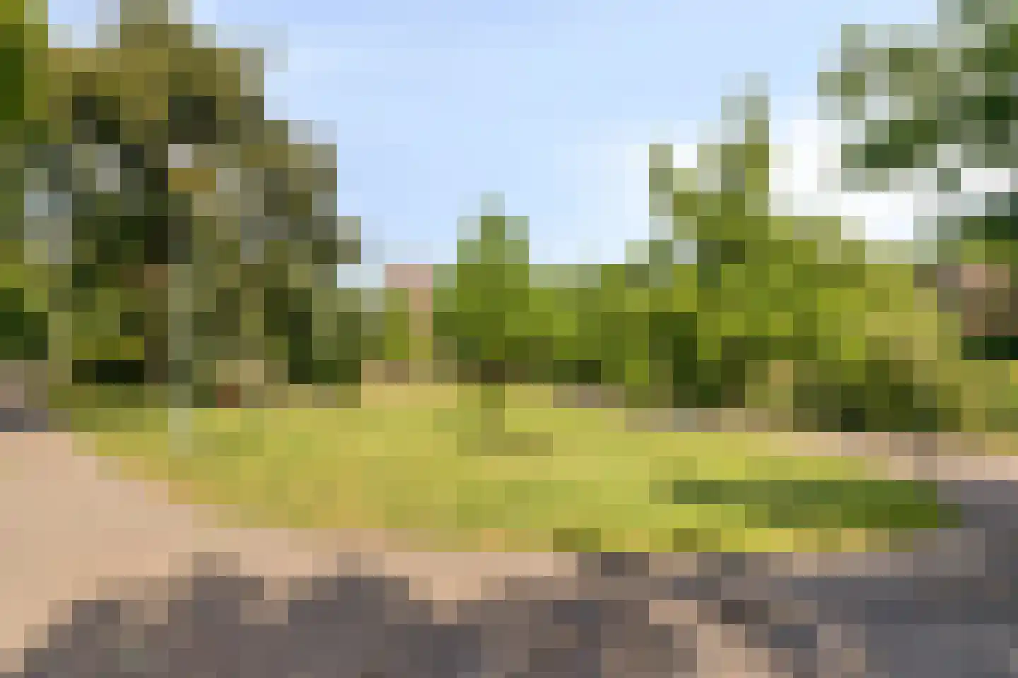 Nieuwe Marktstraat 6 Nijmegen thumbnail 45