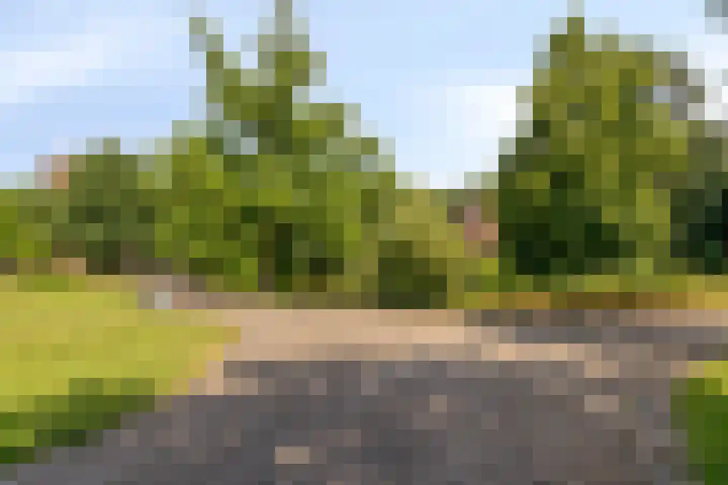 Nieuwe Marktstraat 6 Nijmegen thumbnail 46