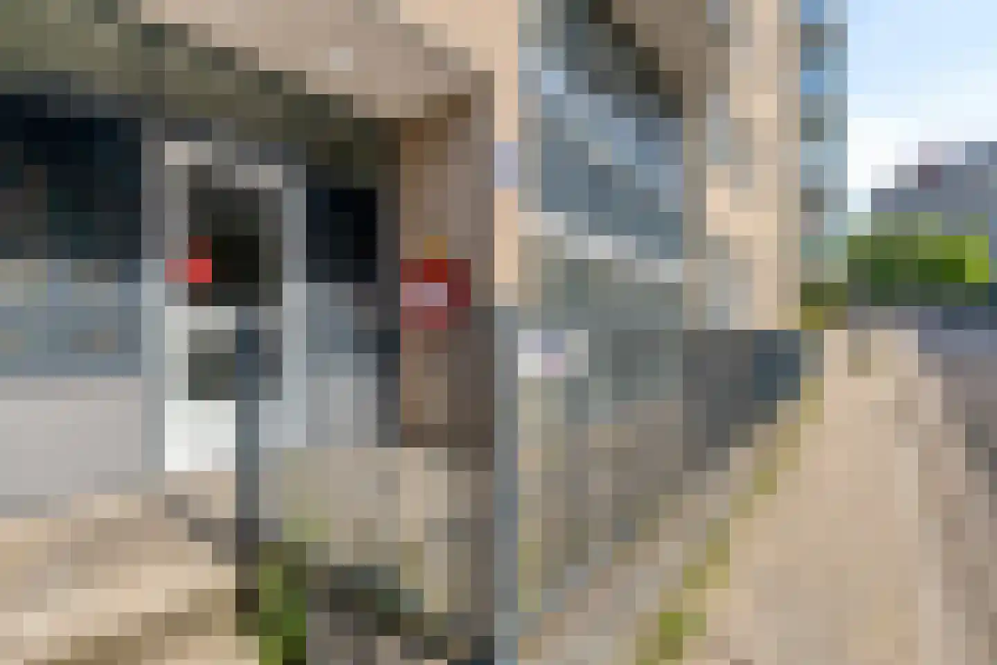 Nieuwe Marktstraat 6 Nijmegen thumbnail 9