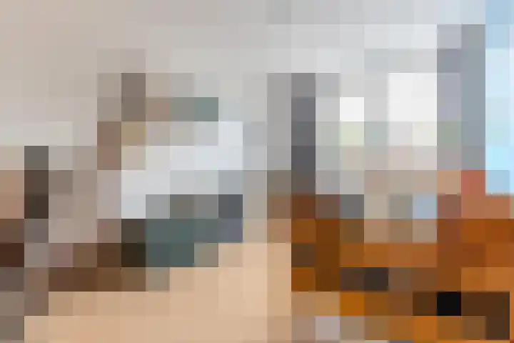 Nieuwe Meer 5 Zaandam thumbnail 13