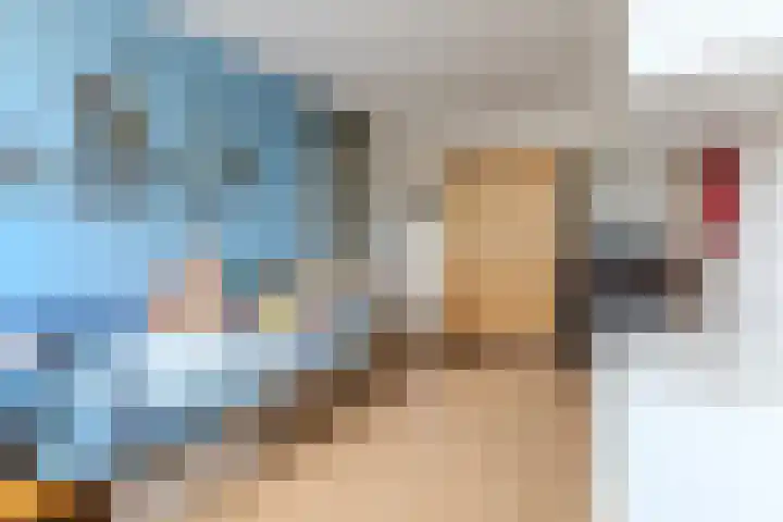 Nieuwe Meer 5 Zaandam thumbnail 14