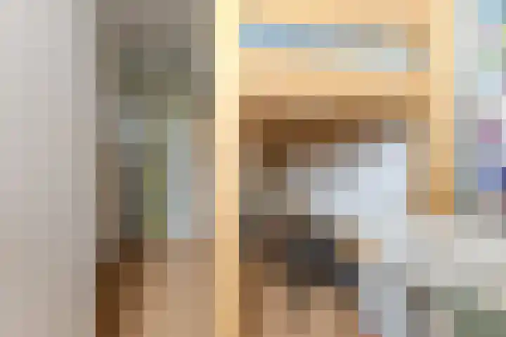 Nieuwe Meer 5 Zaandam thumbnail 16