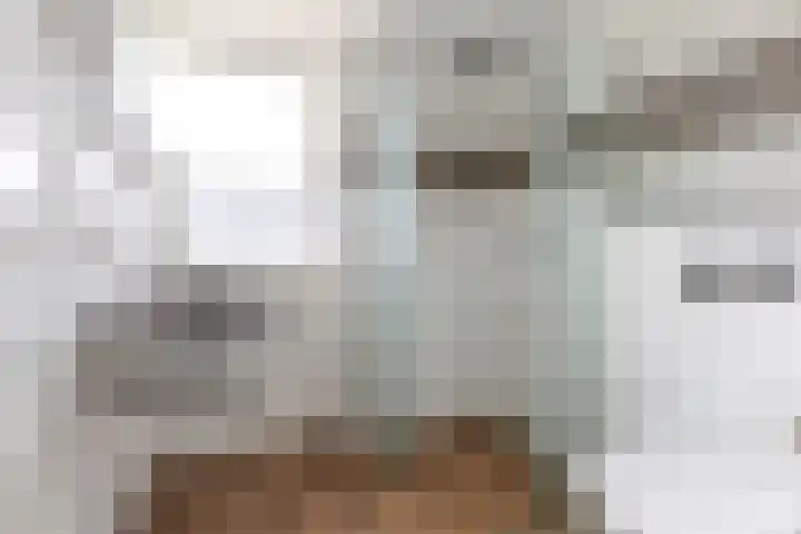 Nieuwe Meer 5 Zaandam thumbnail 17