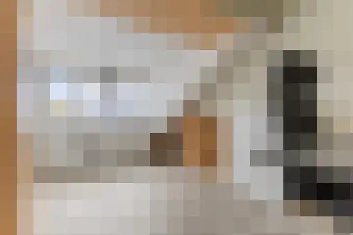 Nieuwe Meer 5 Zaandam thumbnail 22