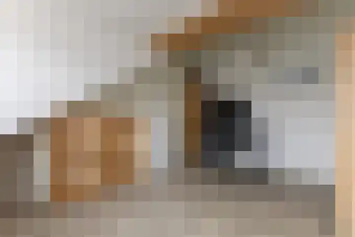 Nieuwe Meer 5 Zaandam thumbnail 23