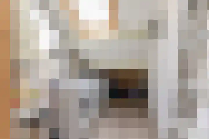 Nieuwe Meer 5 Zaandam thumbnail 24