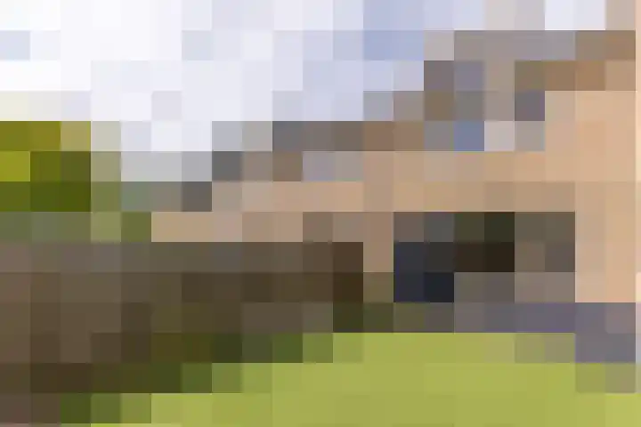 Nieuwe Meer 5 Zaandam thumbnail 25