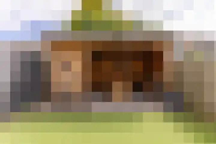 Nieuwe Meer 5 Zaandam thumbnail 26