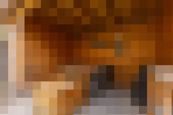 Nieuwe Meer 5 Zaandam thumbnail 27