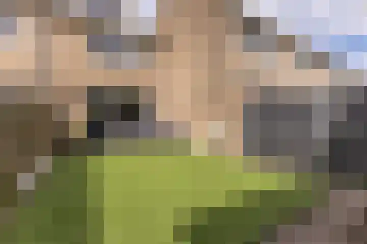 Nieuwe Meer 5 Zaandam thumbnail 28