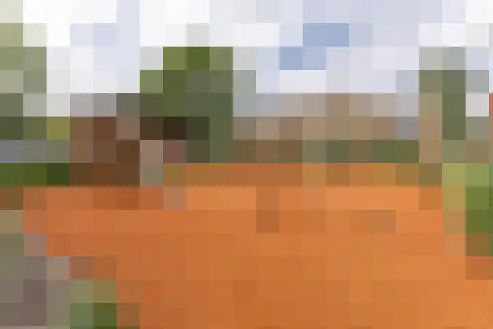 Nieuwe Meer 5 Zaandam thumbnail 29