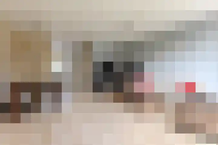 Nieuwe Meer 5 Zaandam thumbnail 5
