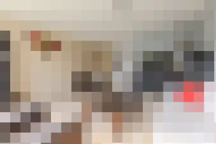 Nieuwe Meer 5 Zaandam thumbnail 6