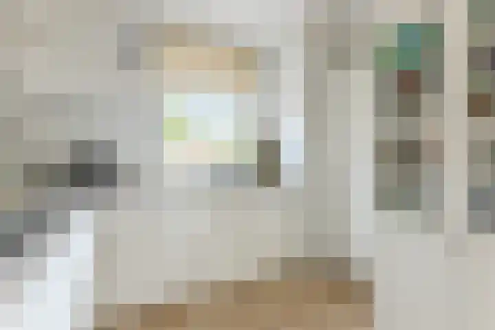 Nieuwe Meer 5 Zaandam thumbnail 7