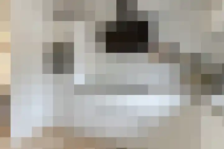 Nieuwe Meer 5 Zaandam thumbnail 8