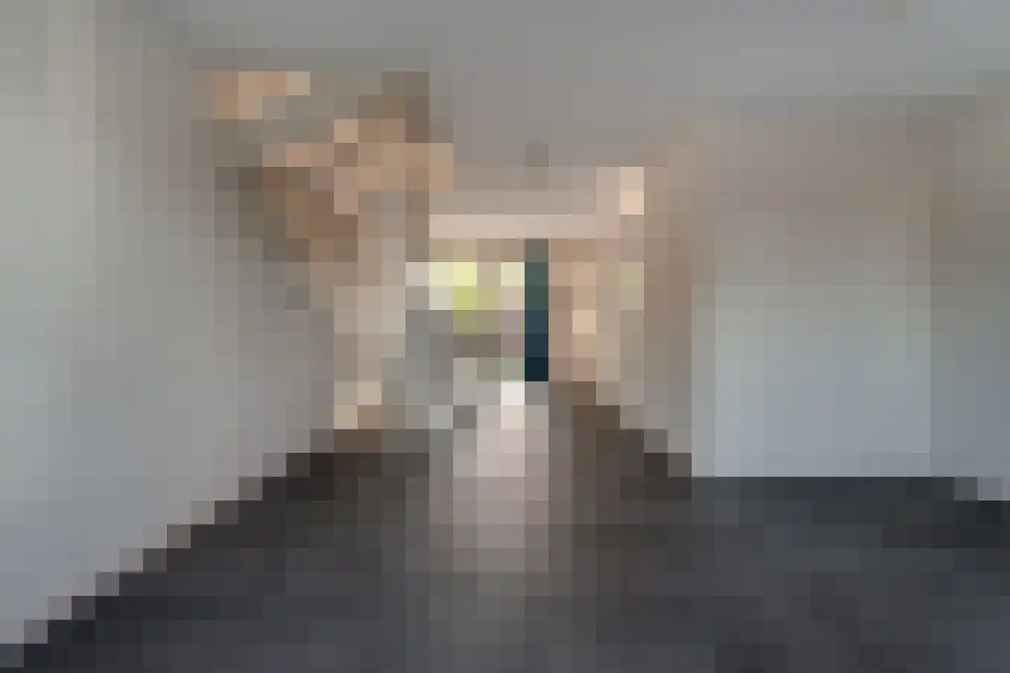 Nieuwe Meursweg 19 Didam thumbnail 10