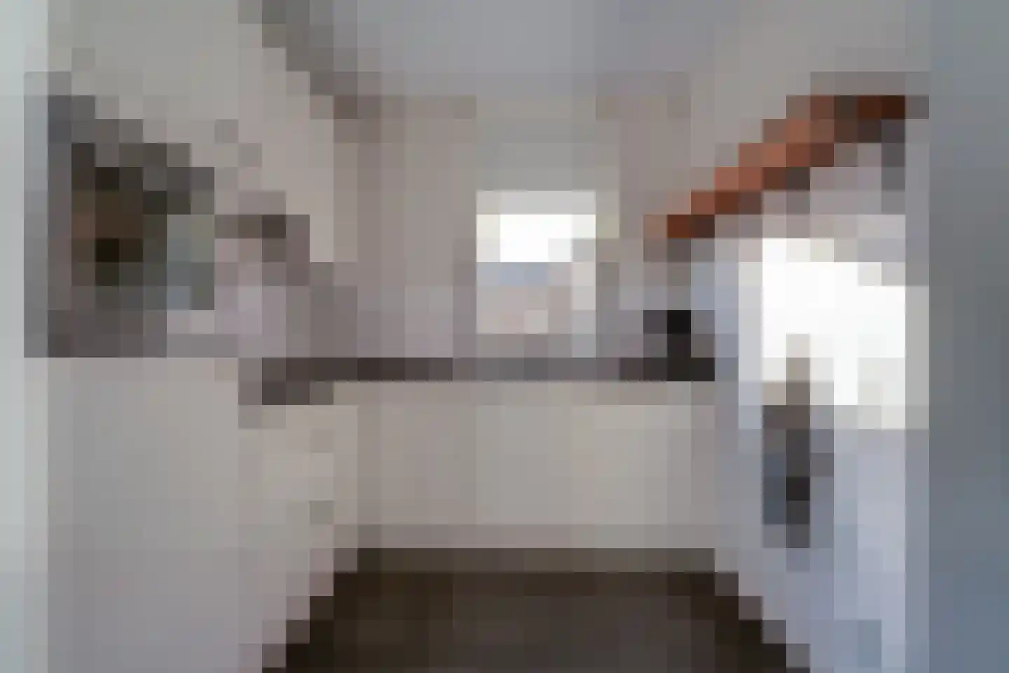 Nieuwe Meursweg 19 Didam thumbnail 12