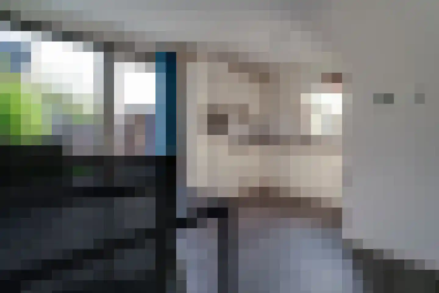 Nieuwe Meursweg 19 Didam thumbnail 13
