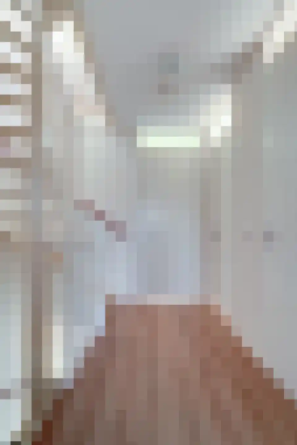 Nieuwe Meursweg 19 Didam thumbnail 22