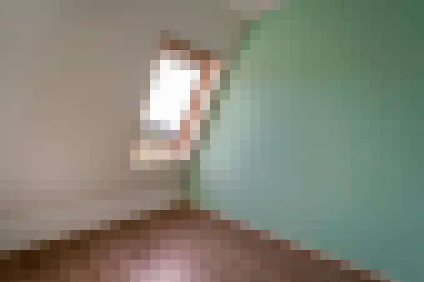 Nieuwe Meursweg 19 Didam thumbnail 31