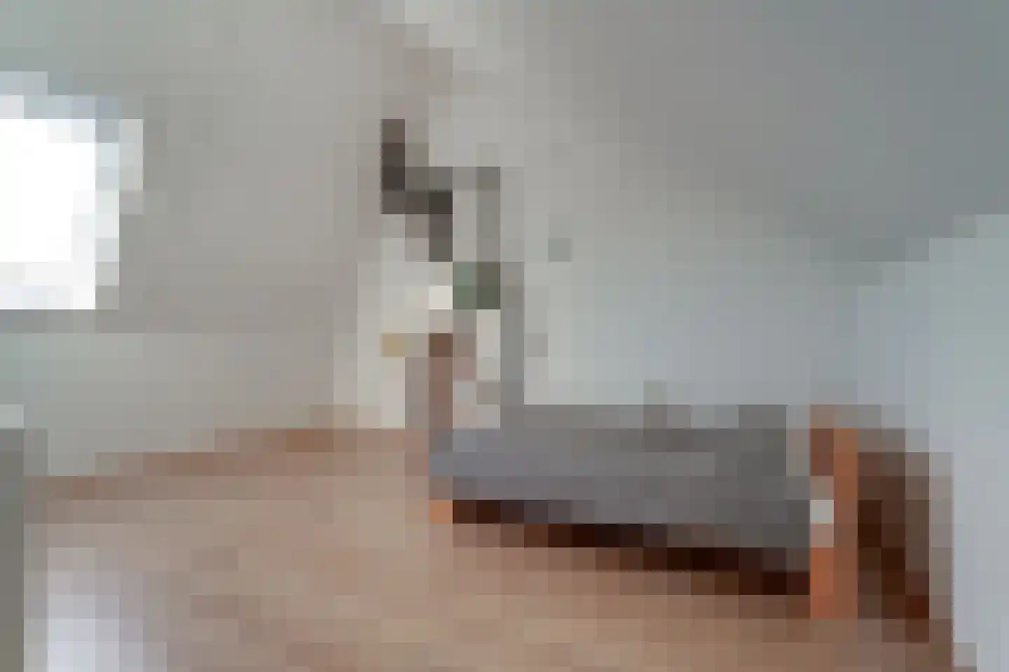 Nieuwe Meursweg 19 Didam thumbnail 35