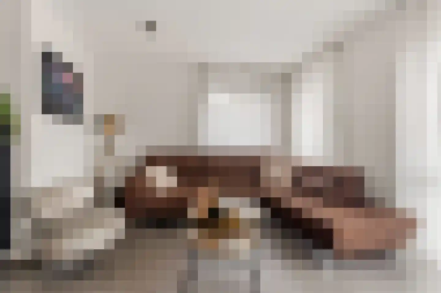 Nieuwe Meursweg 25 Didam thumbnail 11