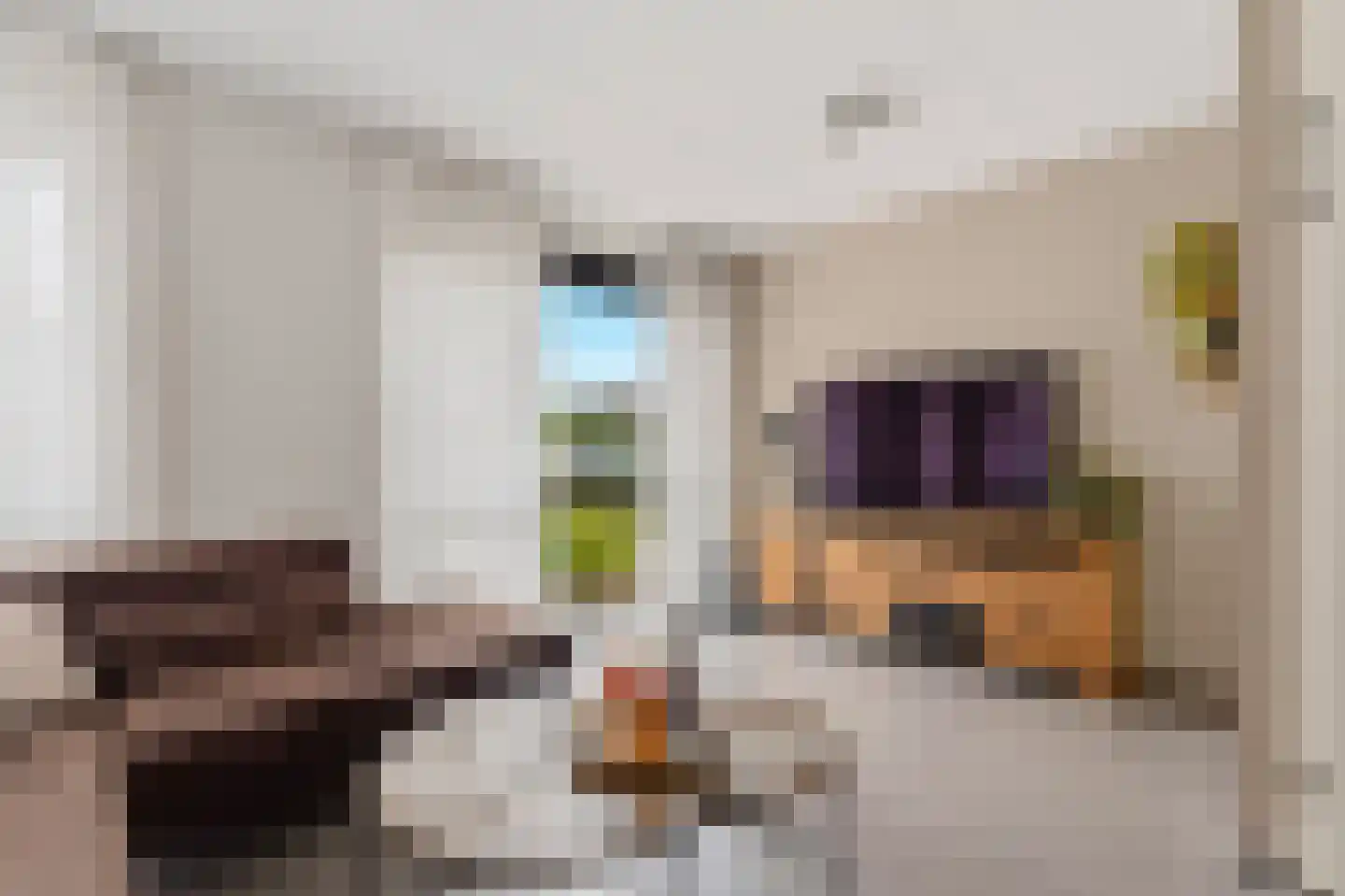 Nieuwe Meursweg 25 Didam thumbnail 12
