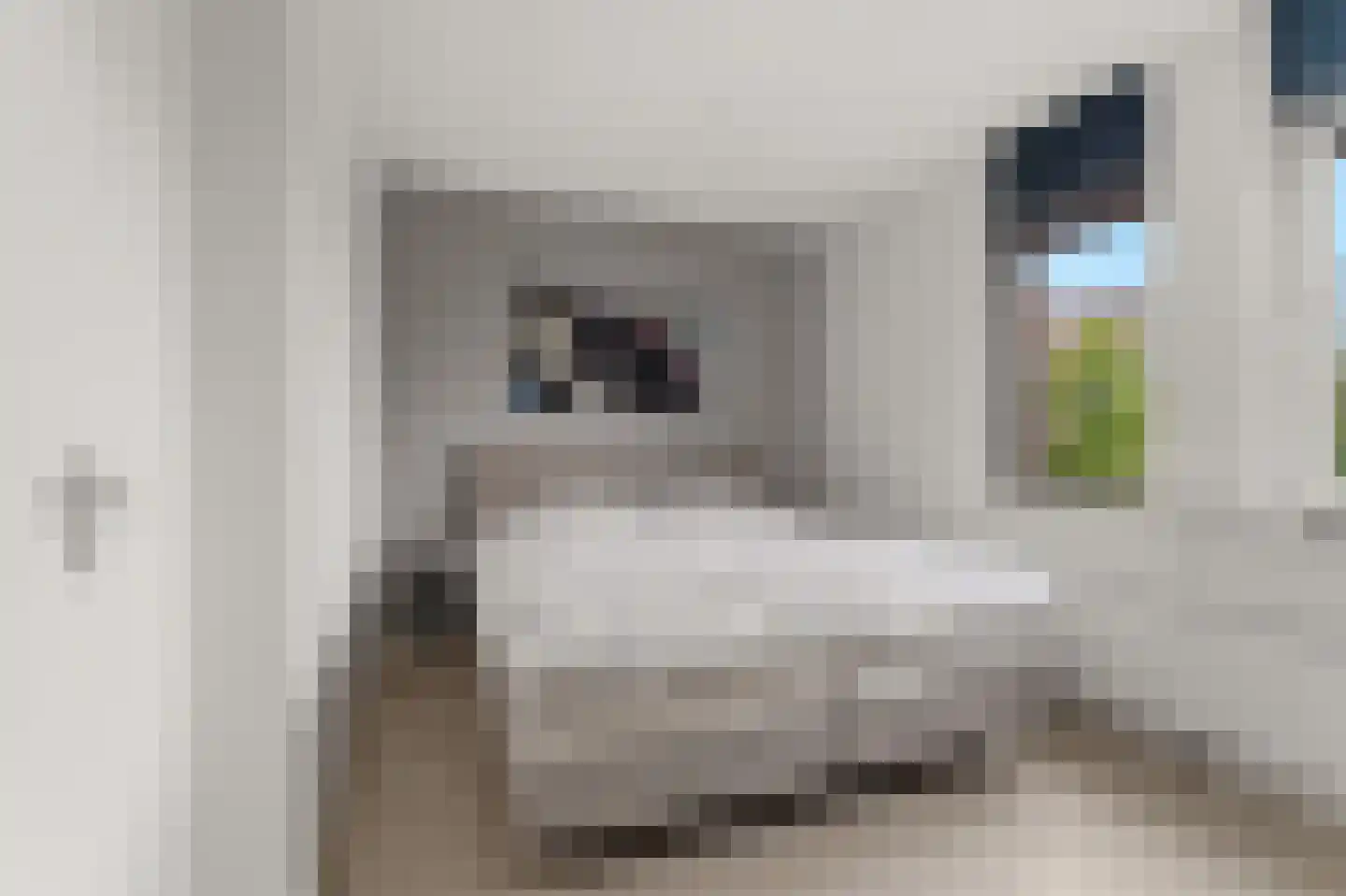 Nieuwe Meursweg 25 Didam thumbnail 22