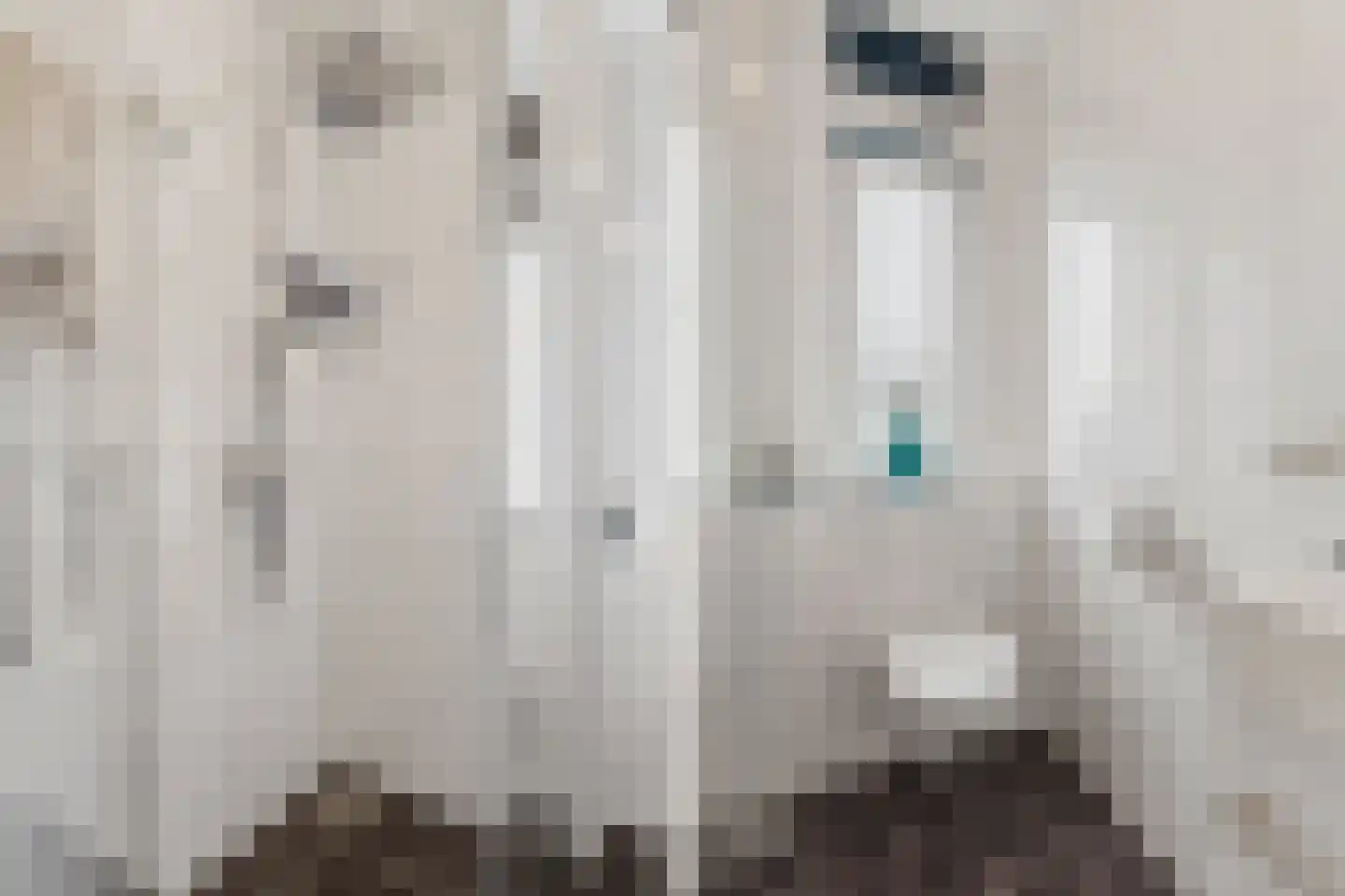 Nieuwe Meursweg 25 Didam thumbnail 29