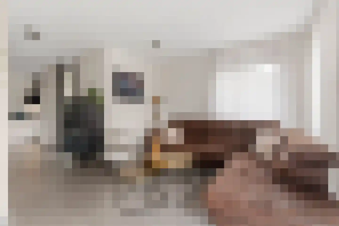 Nieuwe Meursweg 25 Didam foto 3