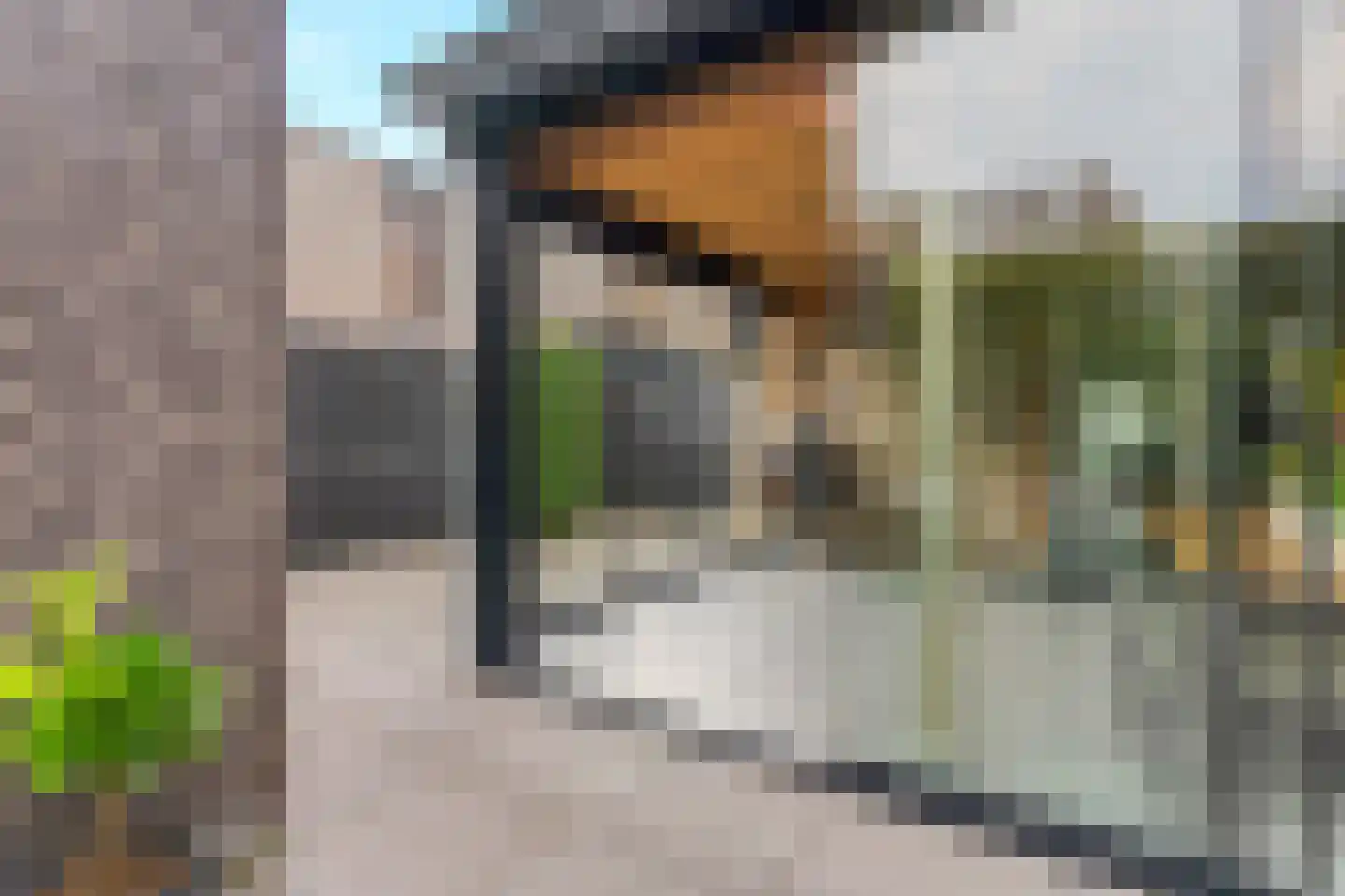 Nieuwe Meursweg 25 Didam thumbnail 36