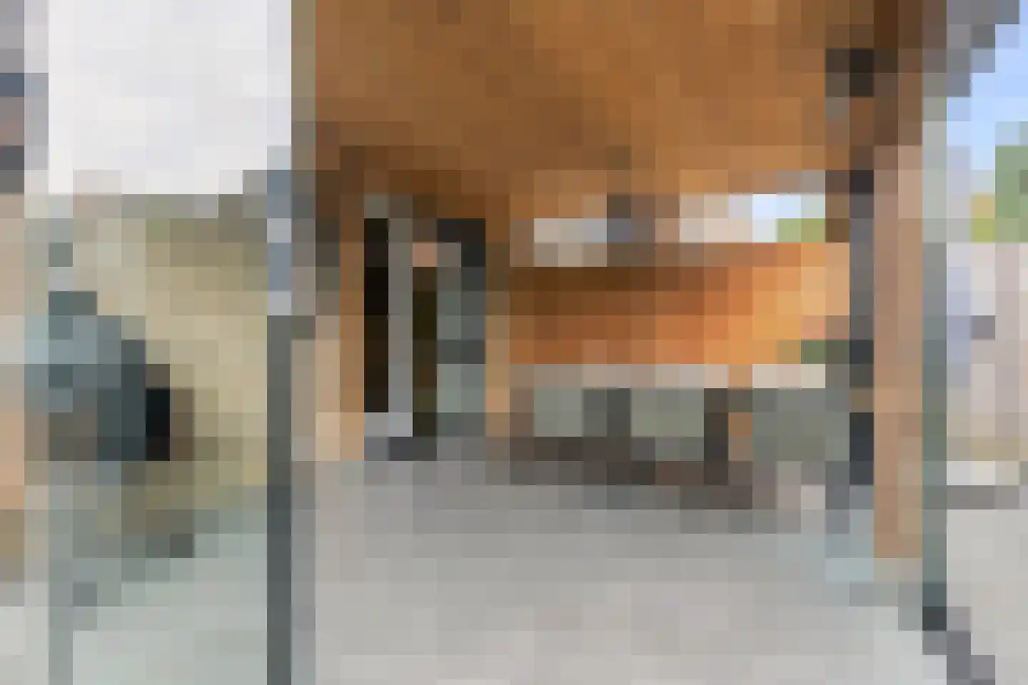 Nieuwe Meursweg 25 Didam thumbnail 4