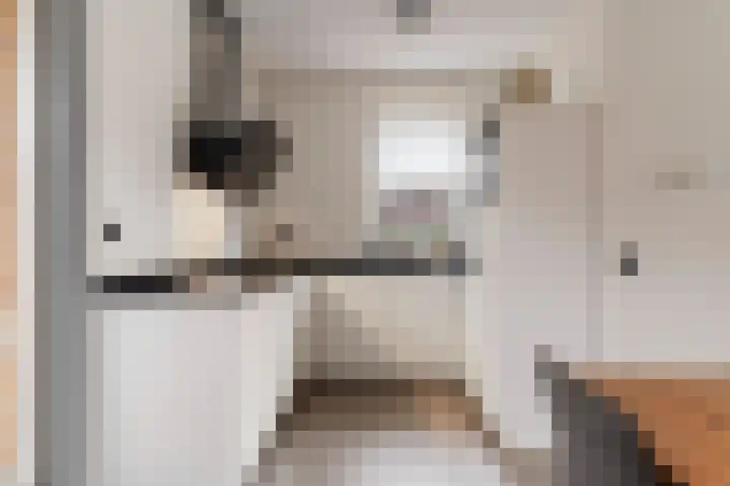 Nieuwe Meursweg 25 Didam thumbnail 6