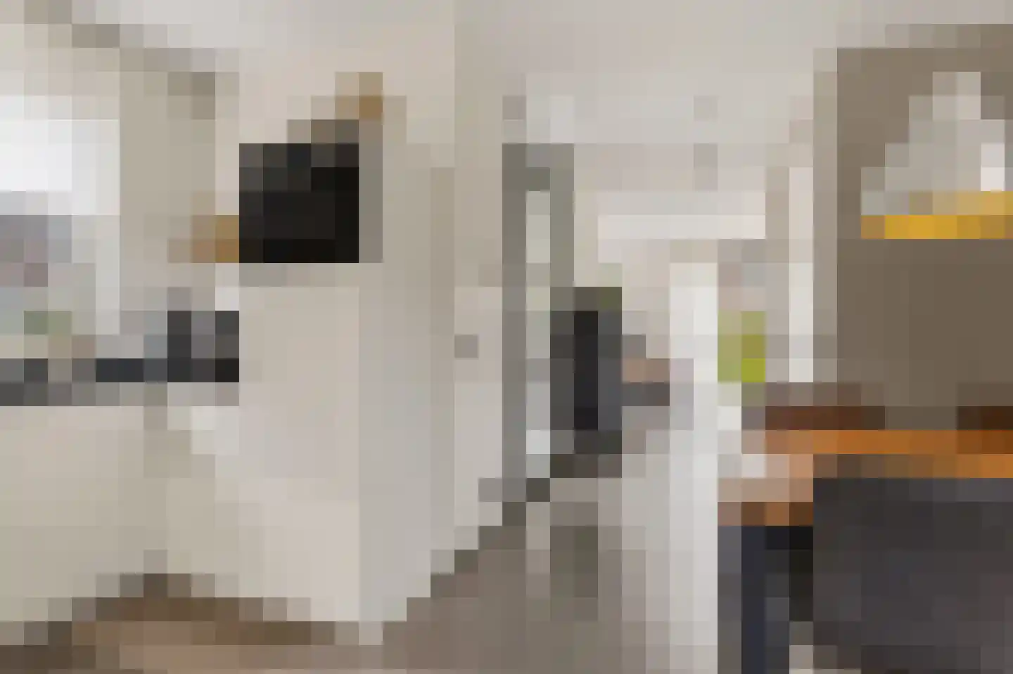Nieuwe Meursweg 25 Didam thumbnail 7
