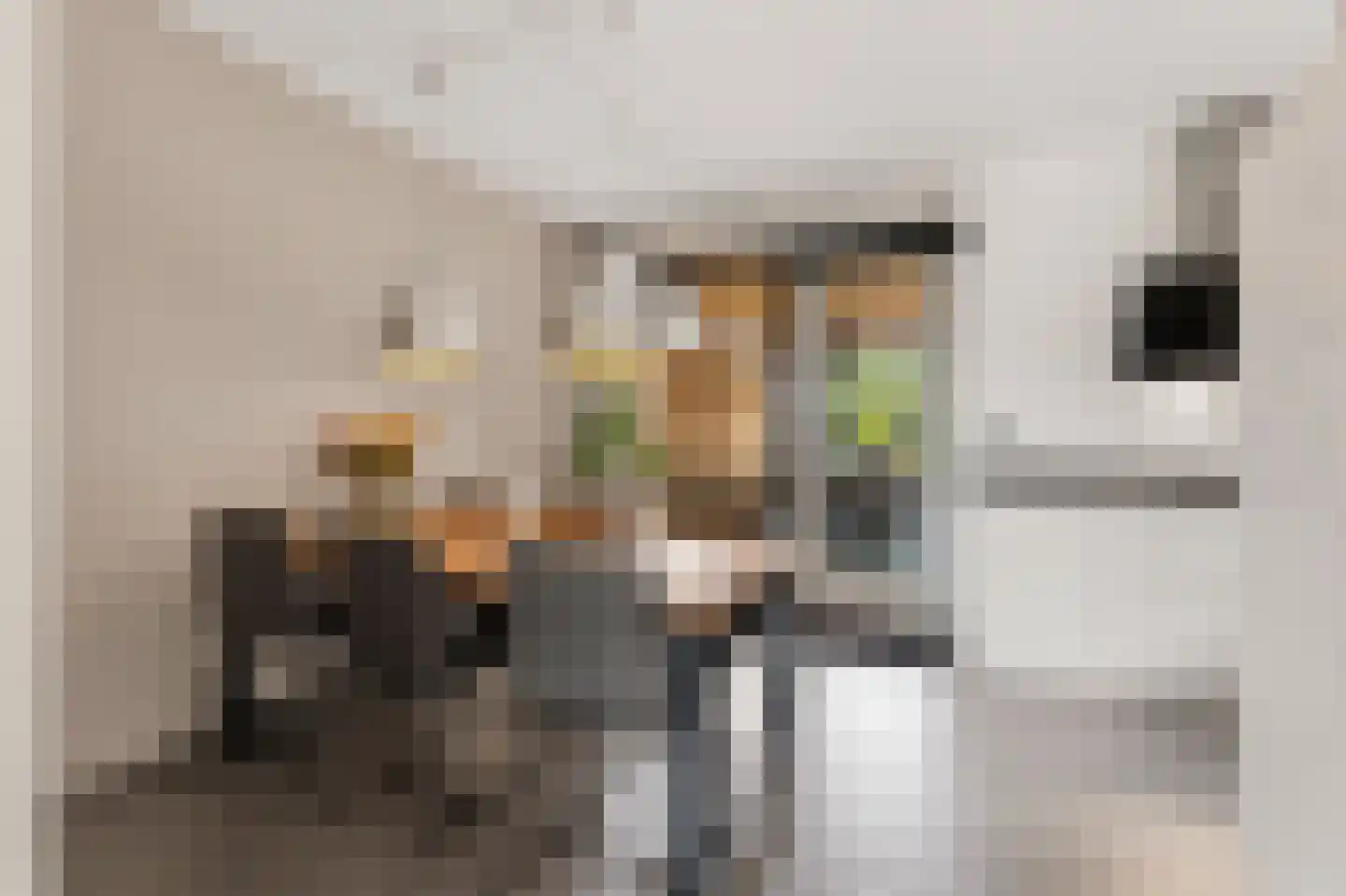 Nieuwe Meursweg 25 Didam thumbnail 8