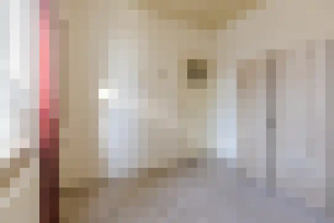 Nieuwe Molenweg 19 Halsteren thumbnail 11