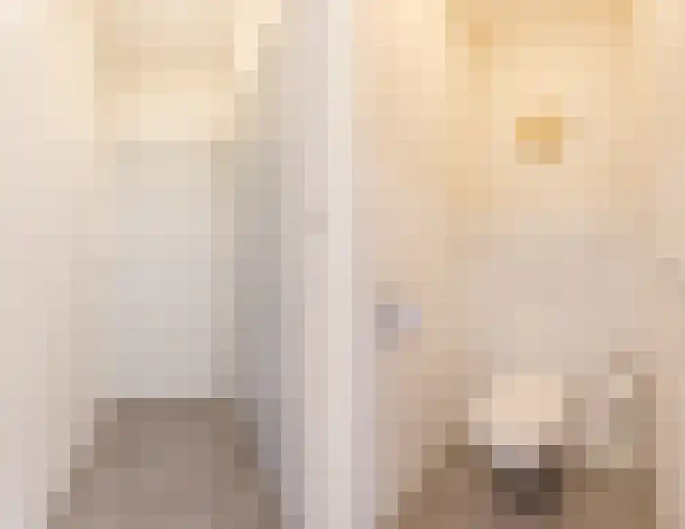 Nieuwe Molenweg 19 Halsteren thumbnail 13