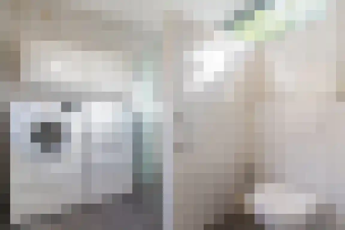 Nieuwe Molenweg 19 Halsteren thumbnail 14