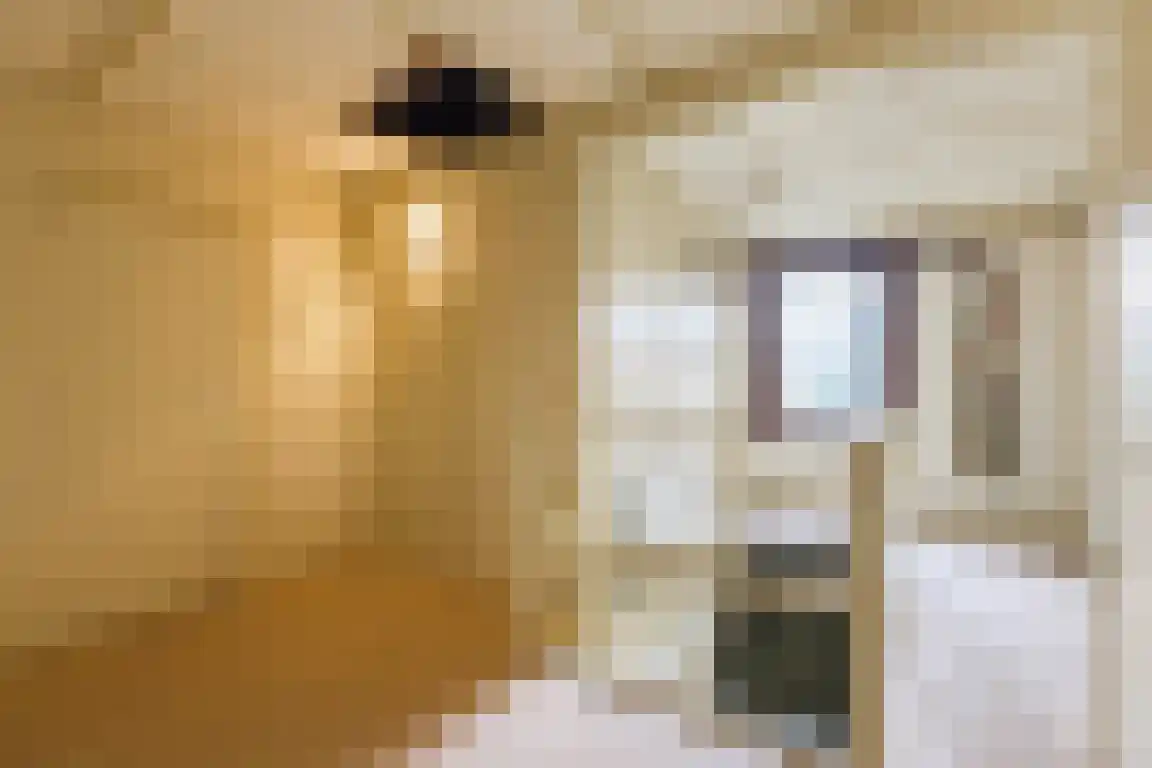 Nieuwe Molenweg 19 Halsteren thumbnail 18