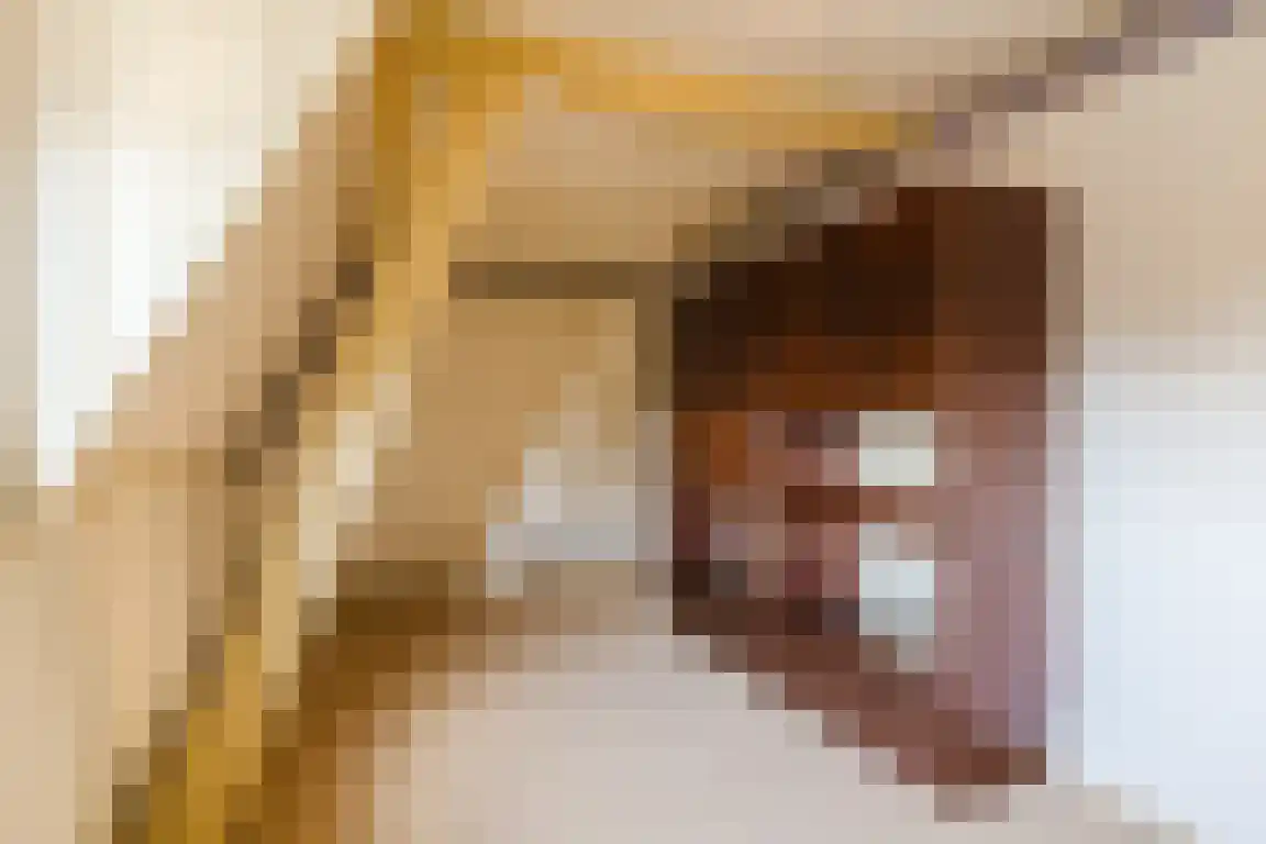 Nieuwe Molenweg 19 Halsteren thumbnail 21