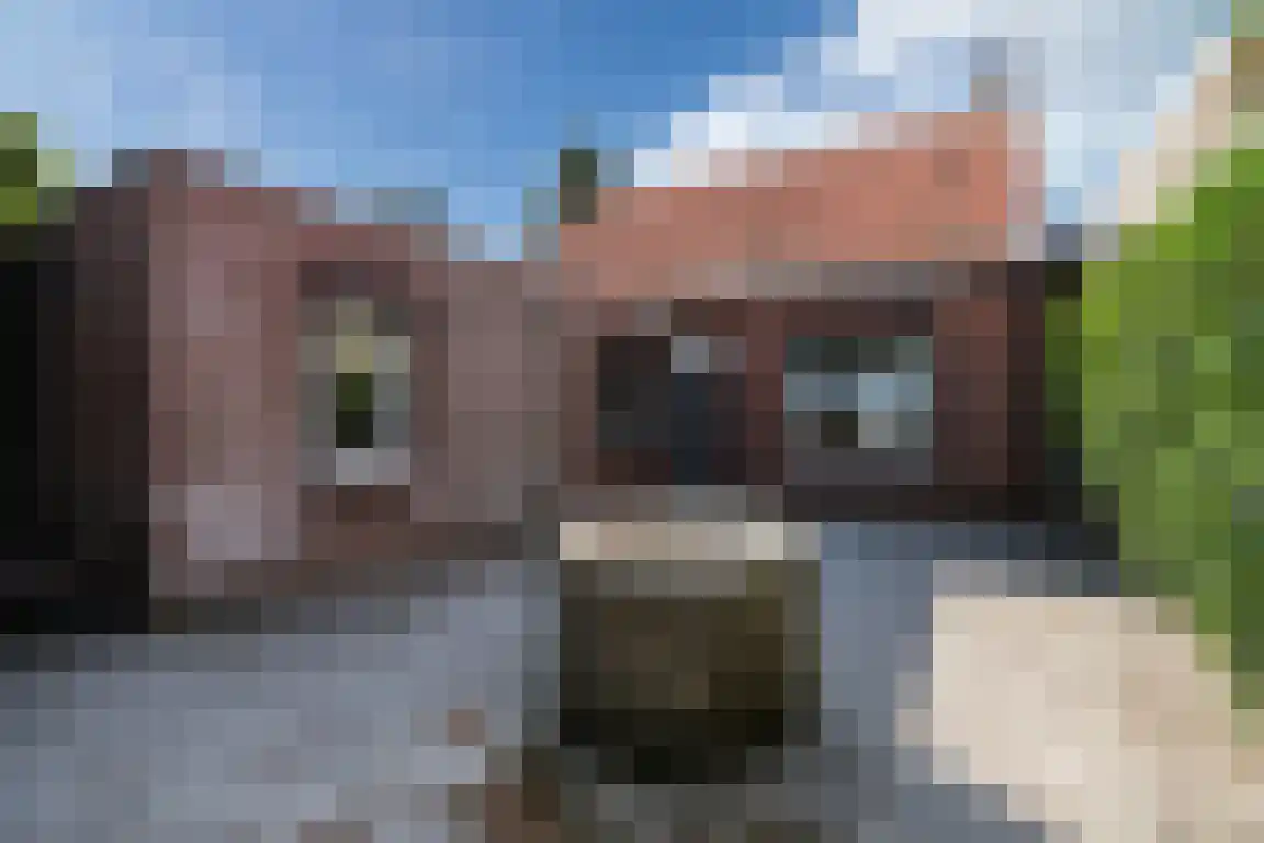 Nieuwe Molenweg 19 Halsteren thumbnail 30