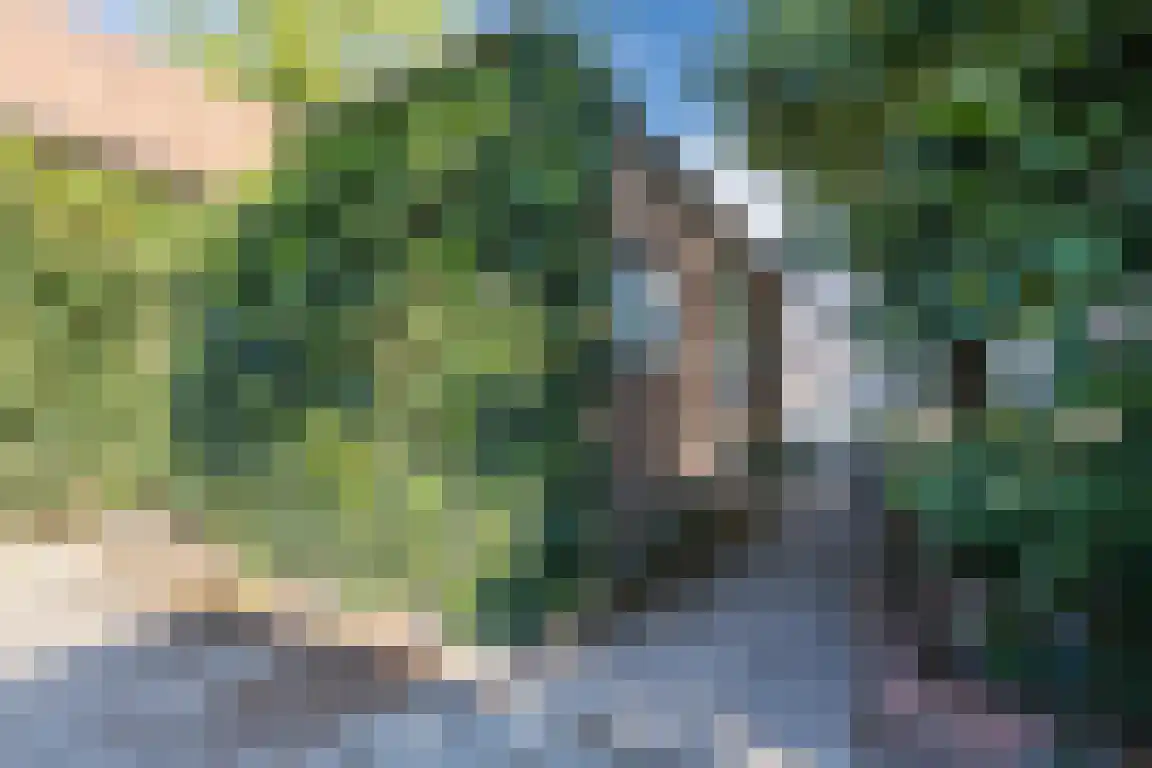 Nieuwe Molenweg 19 Halsteren thumbnail 32