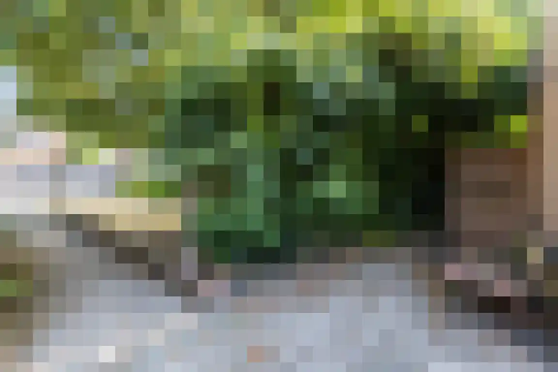 Nieuwe Molenweg 19 Halsteren thumbnail 33