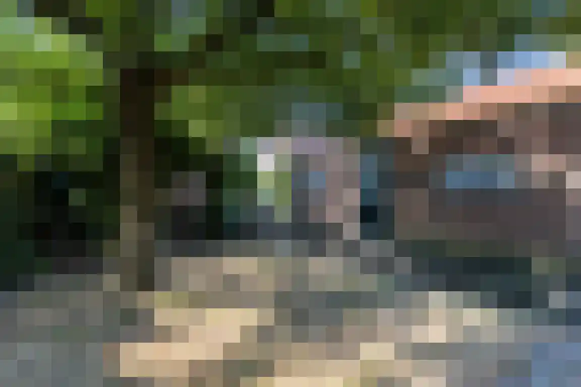 Nieuwe Molenweg 19 Halsteren thumbnail 34