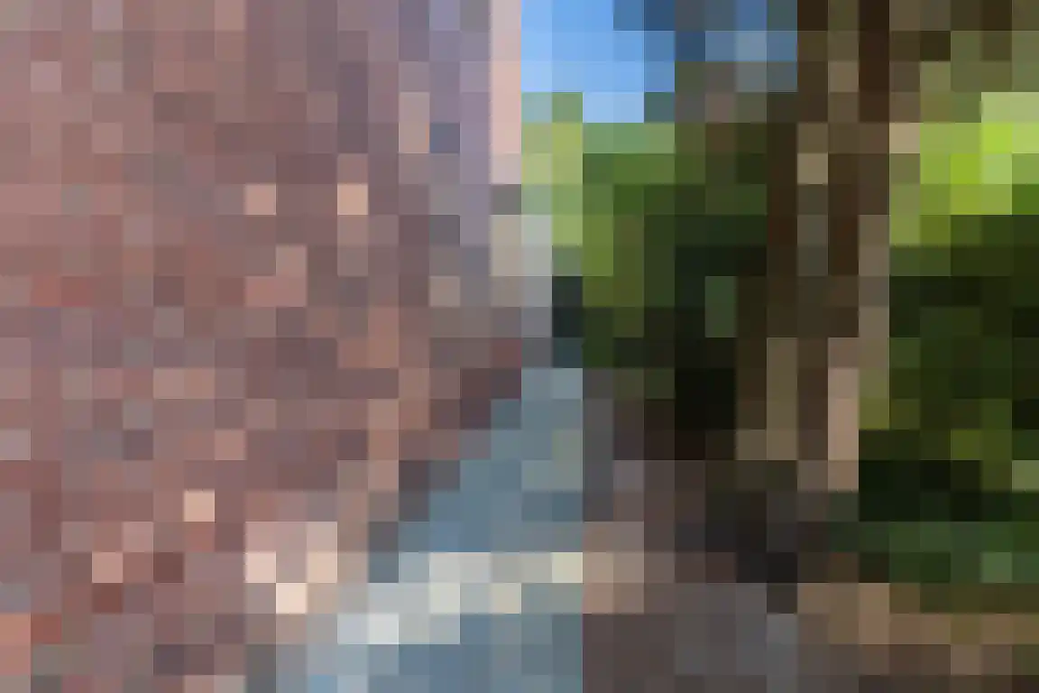 Nieuwe Molenweg 19 Halsteren thumbnail 38