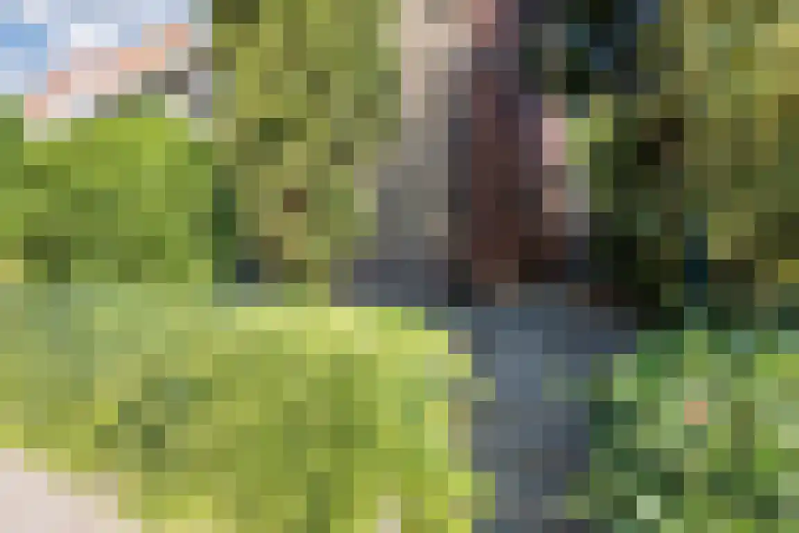 Nieuwe Molenweg 19 Halsteren thumbnail 39