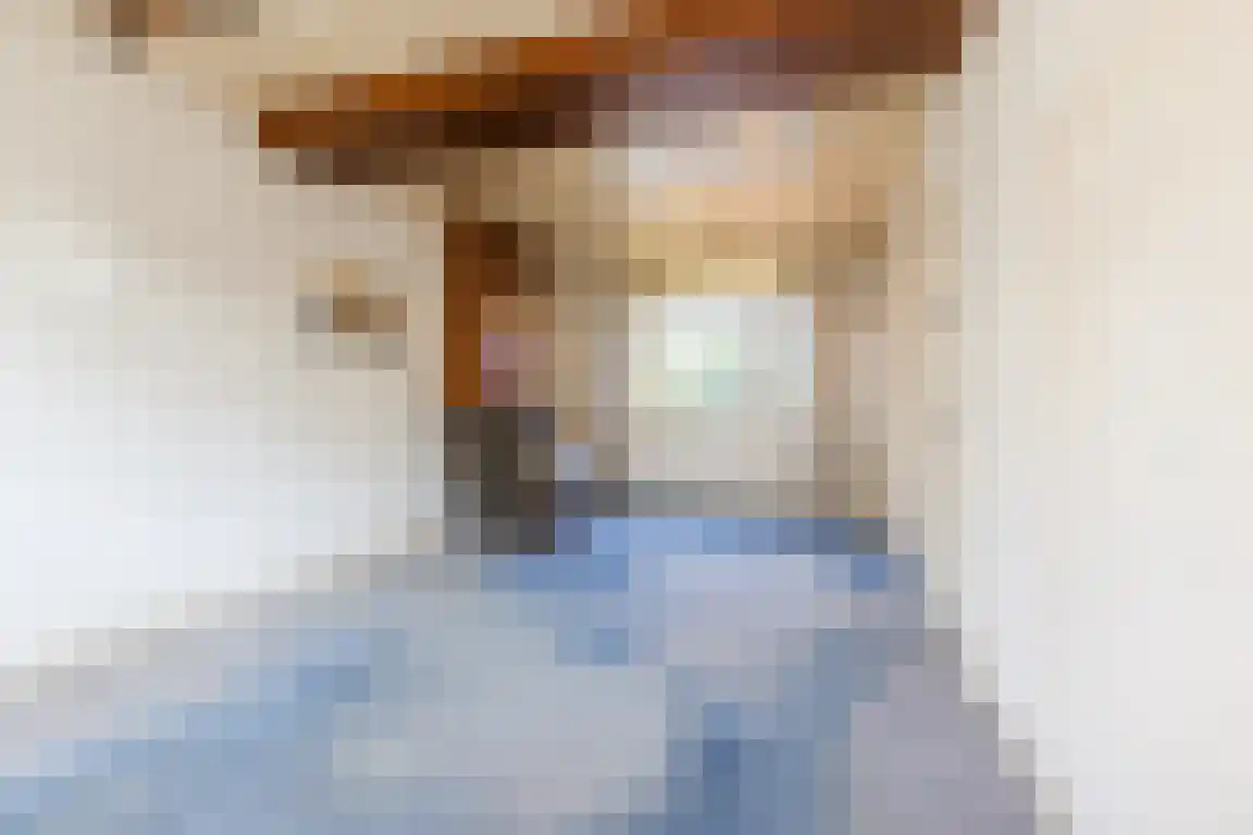 Nieuwe Molenweg 19 Halsteren thumbnail 4
