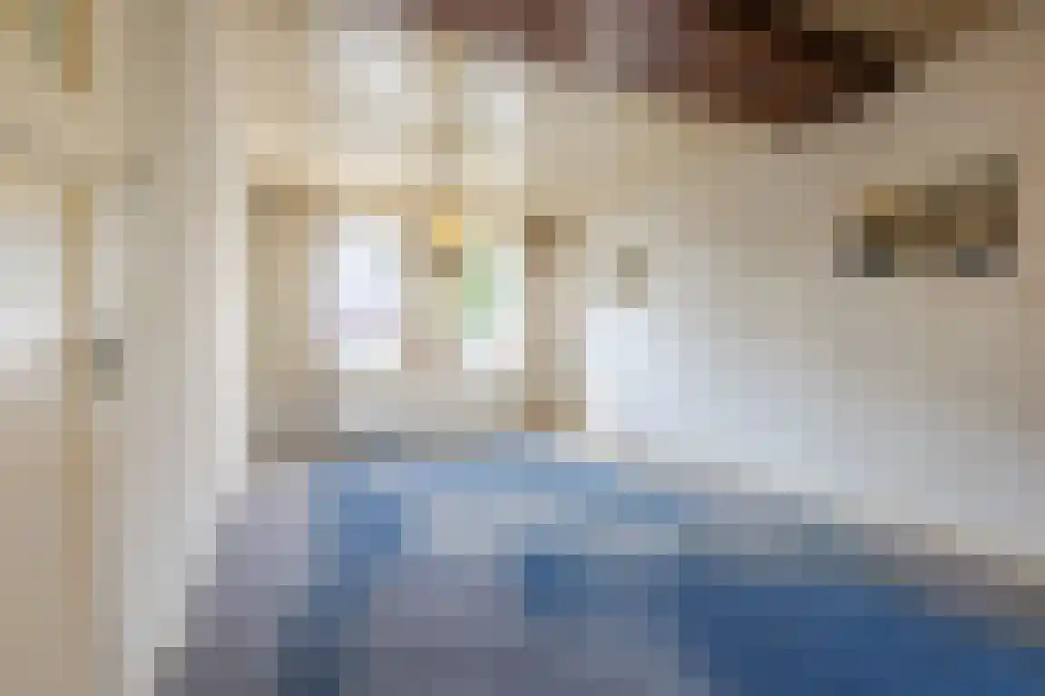 Nieuwe Molenweg 19 Halsteren thumbnail 6